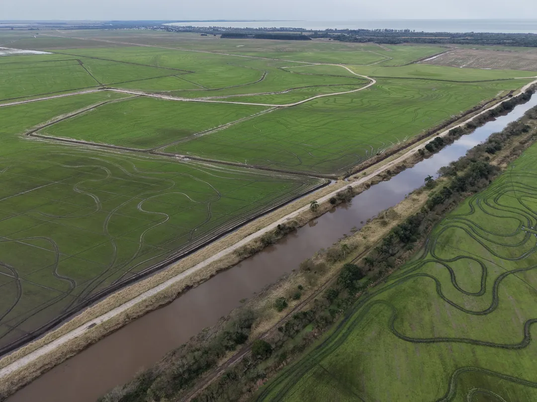 Lavouras de arroz e canal de irrigação vistos do alto, no interior de Arambaré